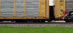 TTGX 159976